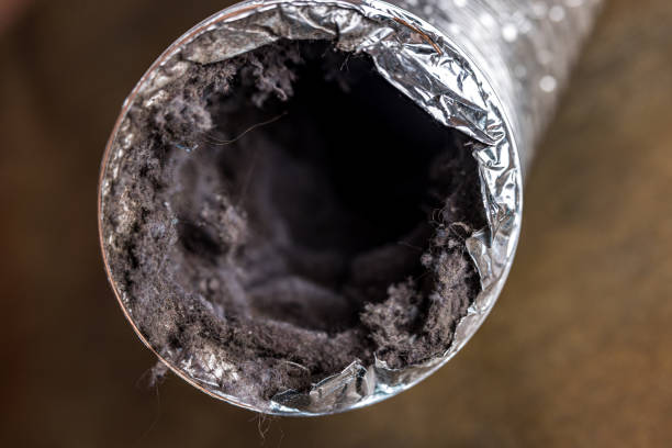 Best HVAC Duct Inspection Services  in Brooklyn Park, MD