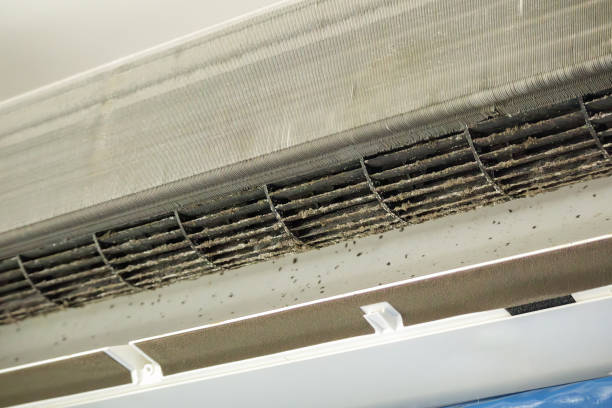 Best Local Air Duct Cleaning Services  in Brooklyn Park, MD